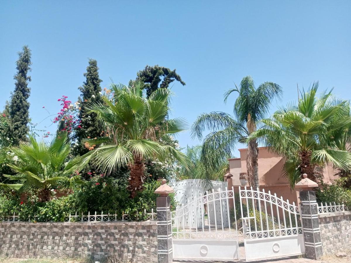Alaoui Appartement *